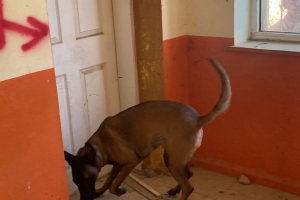 Manisa Bölgesel Düzey Saha Tatbikatı