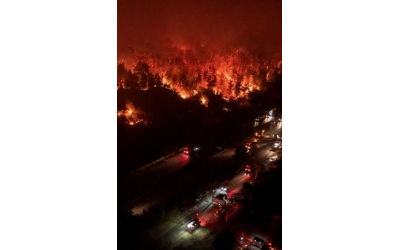 İzmir Orman Yangınları