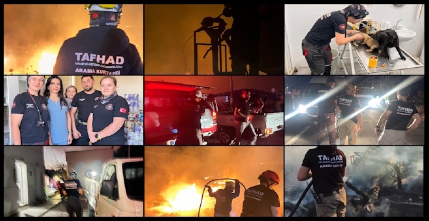 İzmir Orman Yangınları