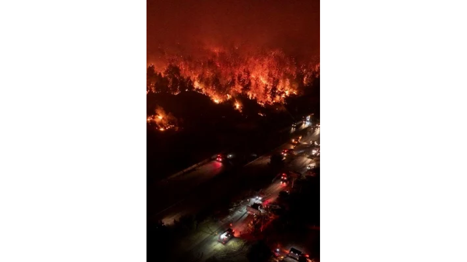 İzmir Orman Yangınları